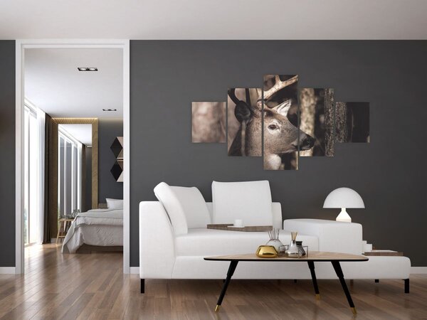 Obraz - Jelen v lese (125x70 cm)