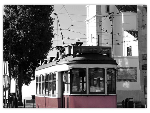 Obraz - Tramvaj (70x50 cm)