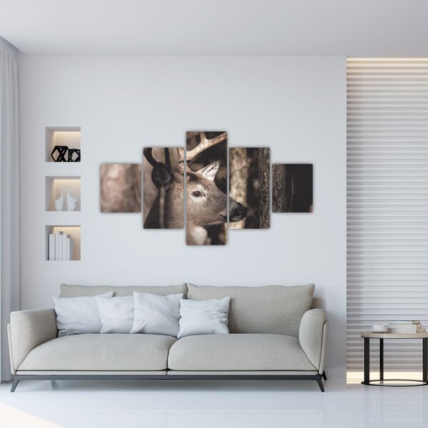 Obraz - Jelen v lese (125x70 cm)