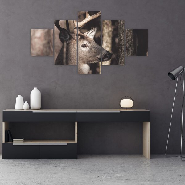 Obraz - Jelen v lese (125x70 cm)