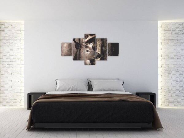 Obraz - Jelen v lese (125x70 cm)