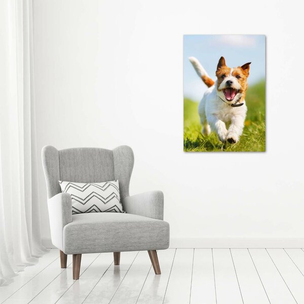 Vertikální Foto obraz na plátně Pes Jack Russell ocv-65993423