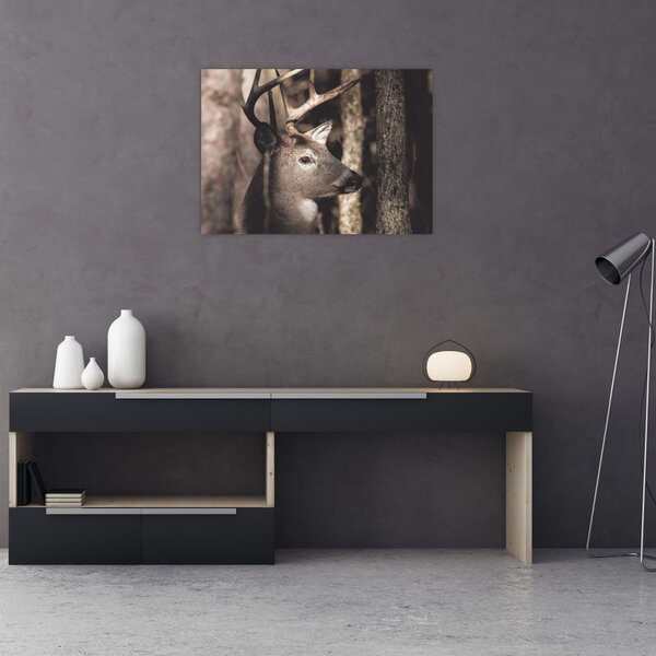 Obraz - Jelen v lese (70x50 cm)