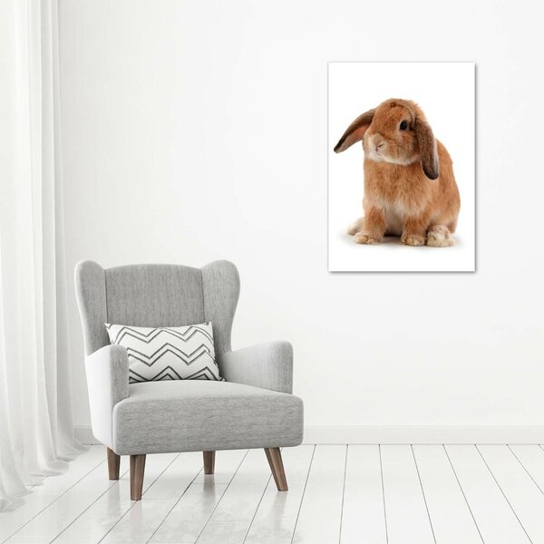 Vertikální Moderní fotoobraz canvas na rámu Králík ocv-65984756
