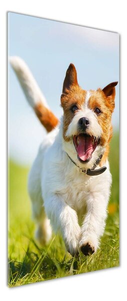 Vertikální Fotoobraz na skle Pes Jack Russell osv-65993423