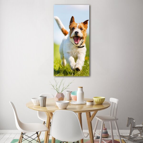 Vertikální Fotoobraz na skle Pes Jack Russell osv-65993423