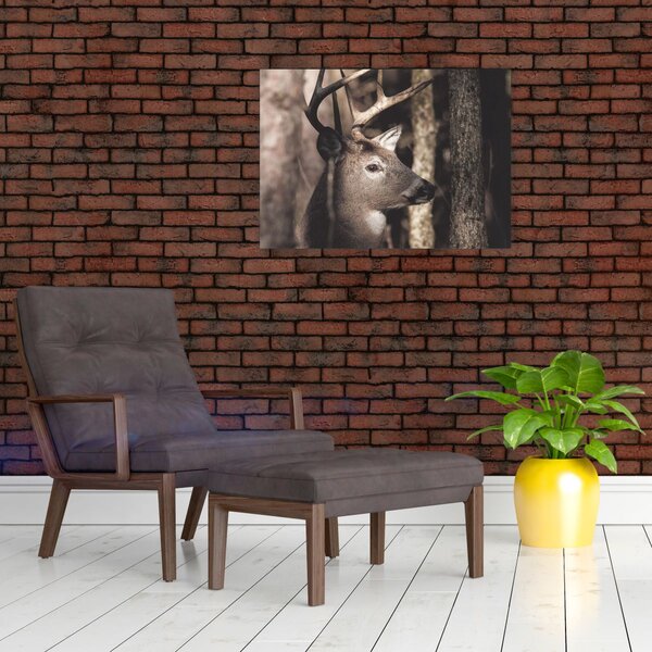 Obraz - Jelen v lese (70x50 cm)