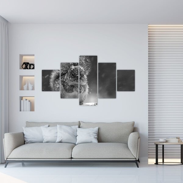 Obraz - Veverka v zimě (125x70 cm)