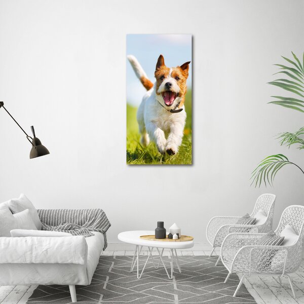 Vertikální Foto obraz na plátně Pes Jack Russell ocv-65993423
