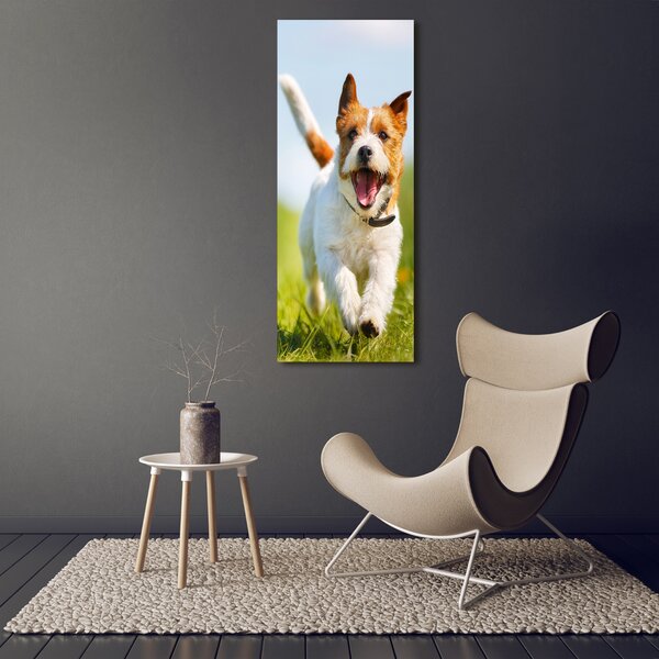 Vertikální Foto obraz na plátně Pes Jack Russell ocv-65993423
