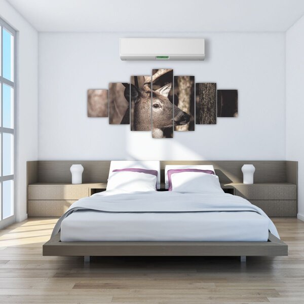 Obraz - Jelen v lese (210x100 cm)