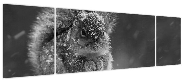 Obraz - Veverka v zimě (170x50 cm)