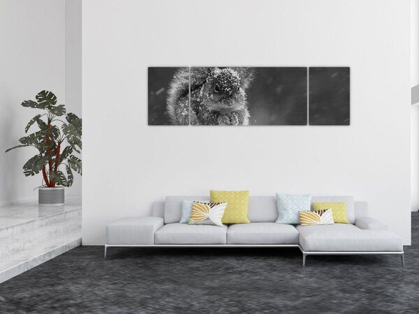 Obraz - Veverka v zimě (170x50 cm)