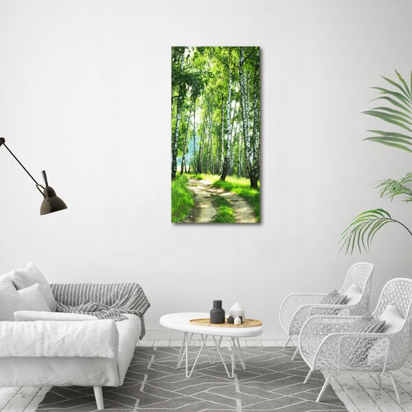 Vertikální Foto obraz canvas Břízový les ocv-66218016