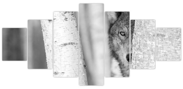 Obraz - Vlk v lese (210x100 cm)