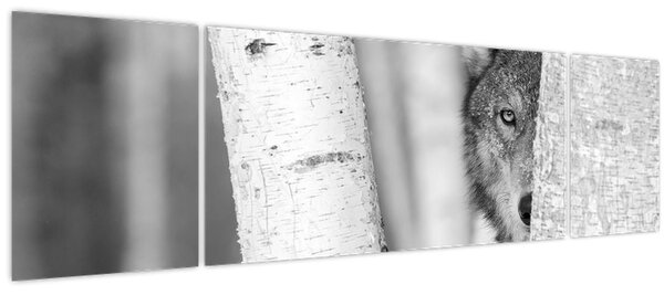 Obraz - Vlk v lese (170x50 cm)