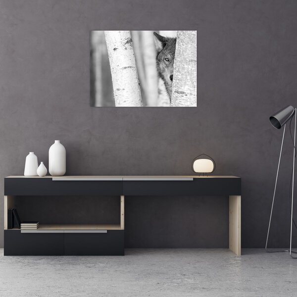 Obraz - Vlk v lese (70x50 cm)