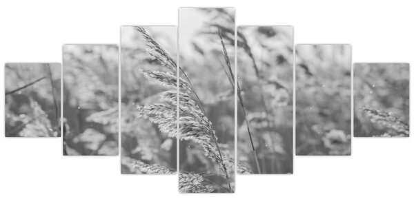 Obraz - Tráva ve větru (210x100 cm)