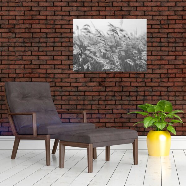 Obraz - Tráva ve větru (70x50 cm)