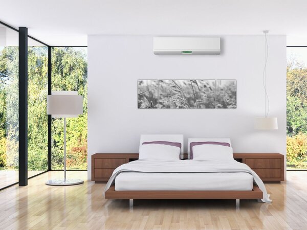 Obraz - Tráva ve větru (170x50 cm)