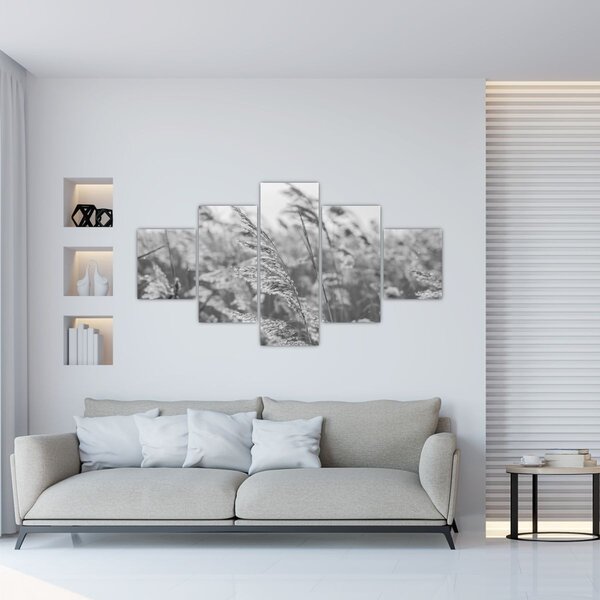 Obraz - Tráva ve větru (125x70 cm)