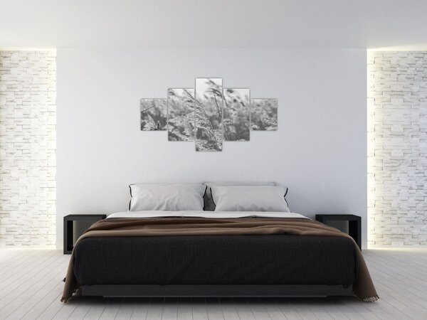 Obraz - Tráva ve větru (125x70 cm)
