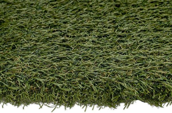 Breno Umělá tráva STELLA, šíře 200 cm, Zelená