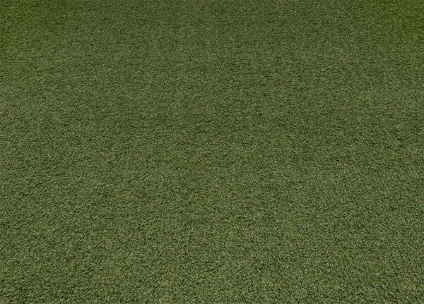 Breno Umělá tráva STELLA, šíře 200 cm, Zelená
