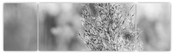 Obraz - Boho pampas grass (170x50 cm)