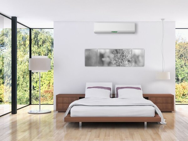 Obraz - Boho pampas grass (170x50 cm)