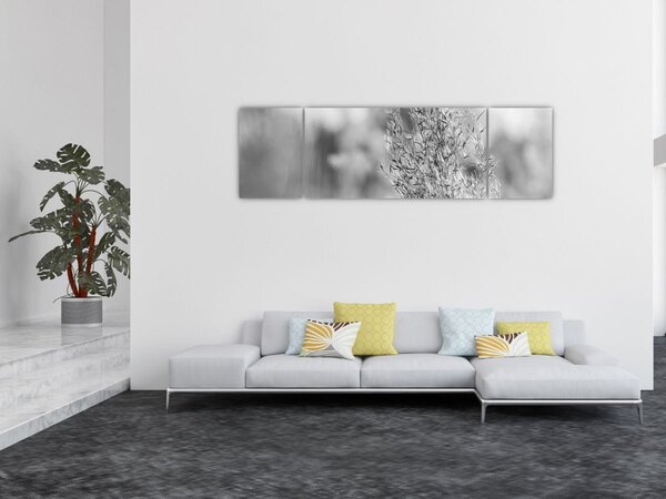 Obraz - Boho pampas grass (170x50 cm)