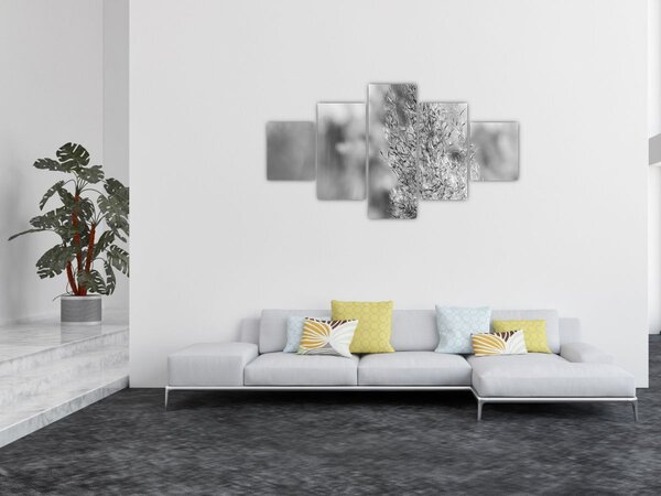 Obraz - Boho pampas grass (125x70 cm)