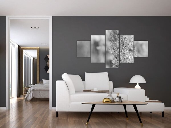 Obraz - Boho pampas grass (125x70 cm)