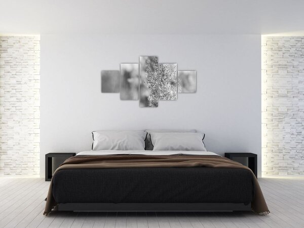 Obraz - Boho pampas grass (125x70 cm)