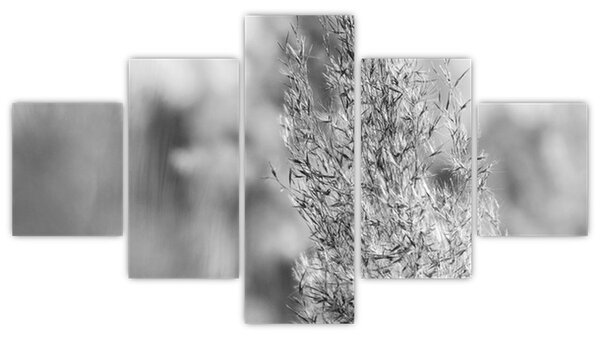 Obraz - Boho pampas grass (125x70 cm)