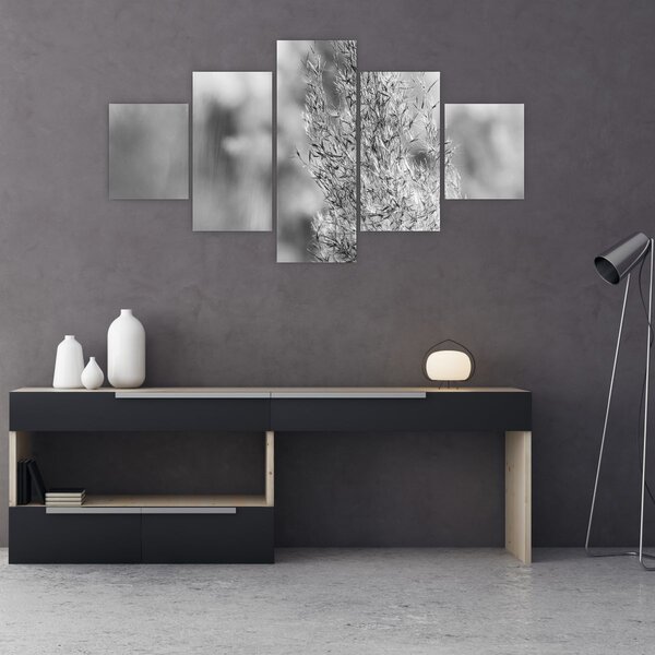 Obraz - Boho pampas grass (125x70 cm)