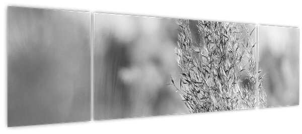 Obraz - Boho pampas grass (170x50 cm)