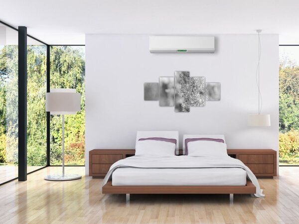 Obraz - Boho pampas grass (125x70 cm)