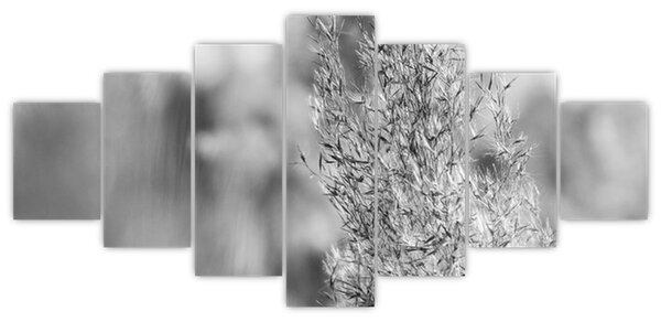 Obraz - Boho pampas grass (210x100 cm)