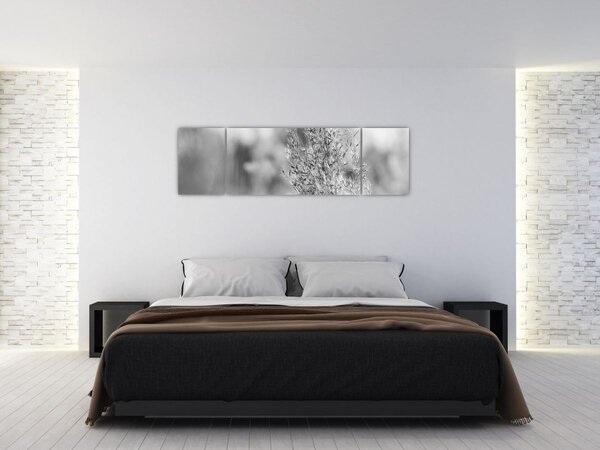 Obraz - Boho pampas grass (170x50 cm)