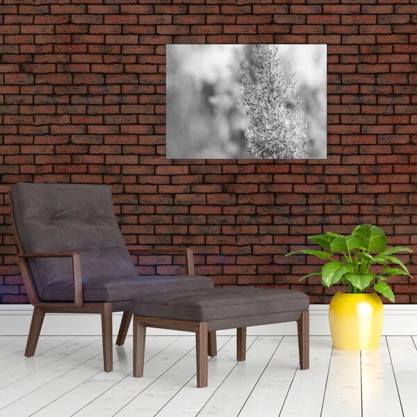 Obraz - Boho pampas grass (70x50 cm)