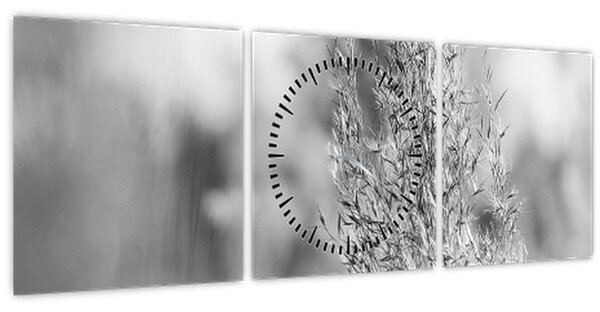 Obraz - Boho pampas grass (s hodinami) (90x30 cm)
