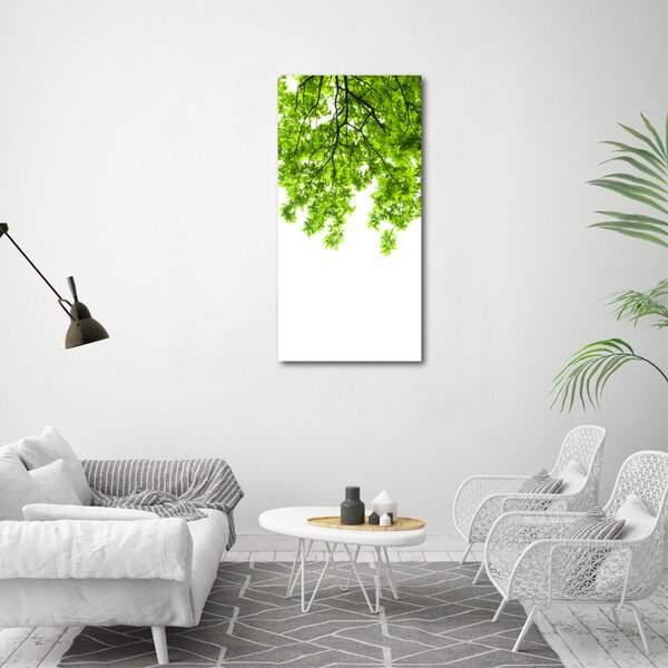 Vertikální Foto obraz canvas Koruna stromů ocv-66522437