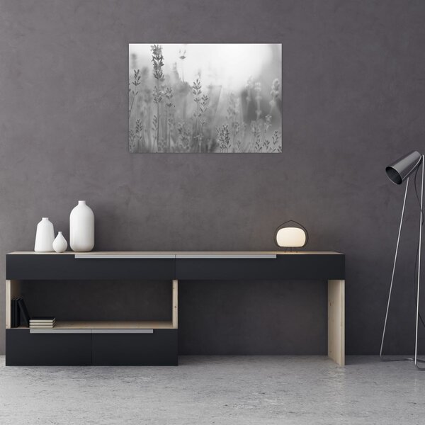 Obraz - Levandule (70x50 cm)