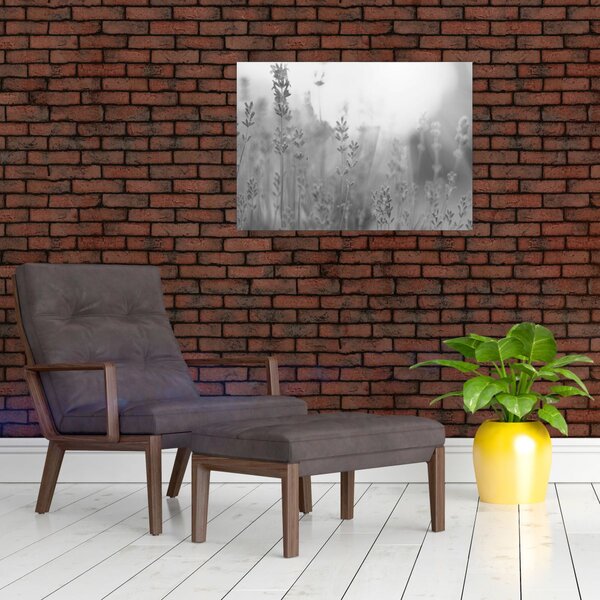 Obraz - Levandule (70x50 cm)