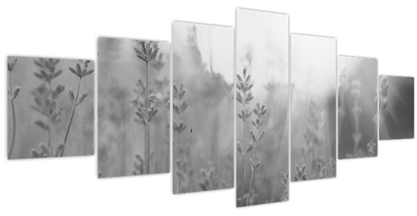Obraz - Levandule (210x100 cm)