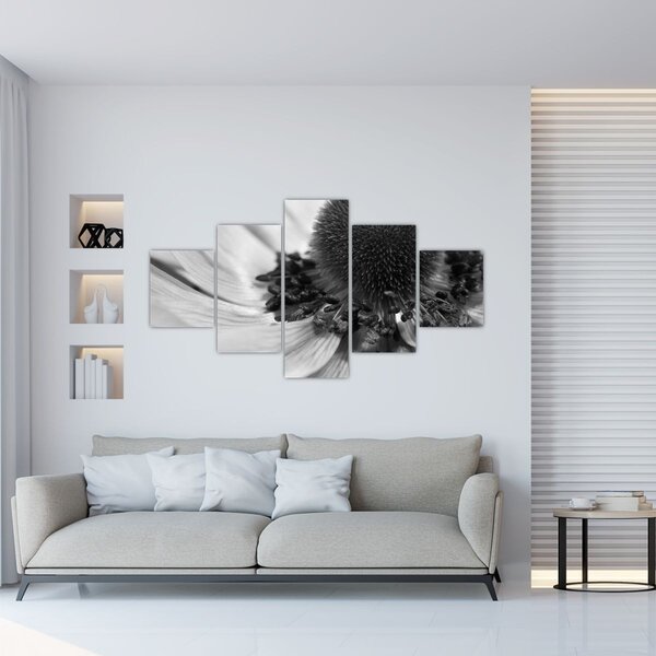 Obraz - Květina v černobílé (125x70 cm)