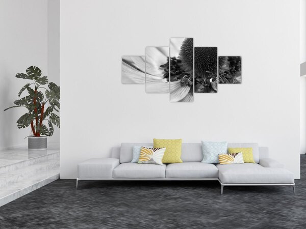 Obraz - Květina v černobílé (125x70 cm)