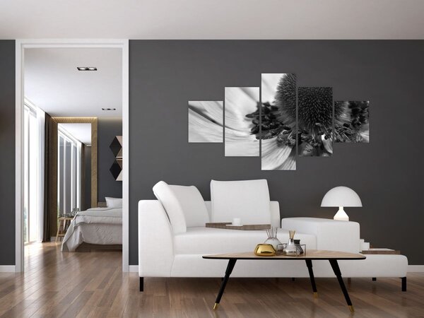 Obraz - Květina v černobílé (125x70 cm)