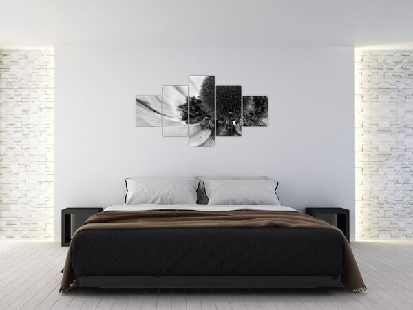 Obraz - Květina v černobílé (125x70 cm)